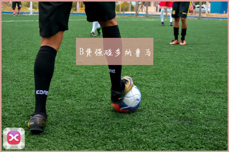 B费强碰多纳鲁马