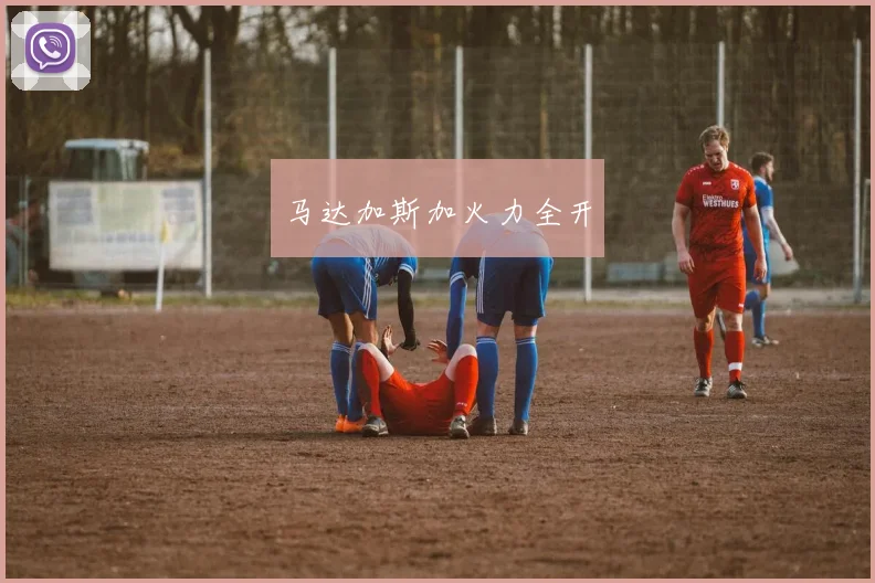 马达加斯加火力全开