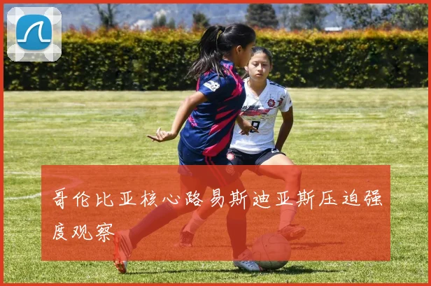 哥伦比亚核心路易斯迪亚斯压迫强度观察