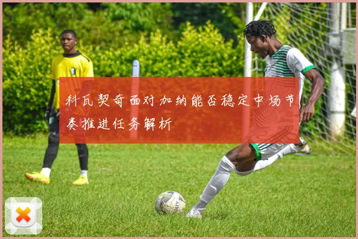 科瓦契奇面对加纳能否稳定中场节奏推进任务解析