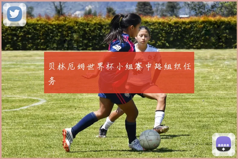 贝林厄姆世界杯小组赛中路组织任务