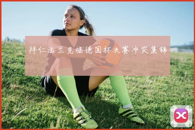 拜仁法兰克福德国杯决赛冲突集锦