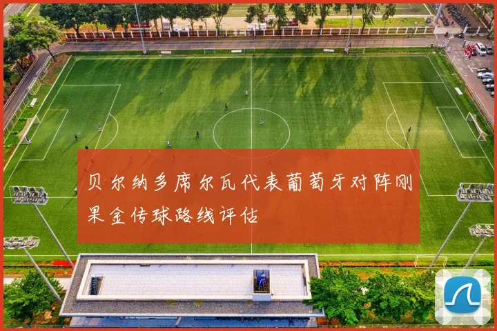 贝尔纳多席尔瓦代表葡萄牙对阵刚果金传球路线评估