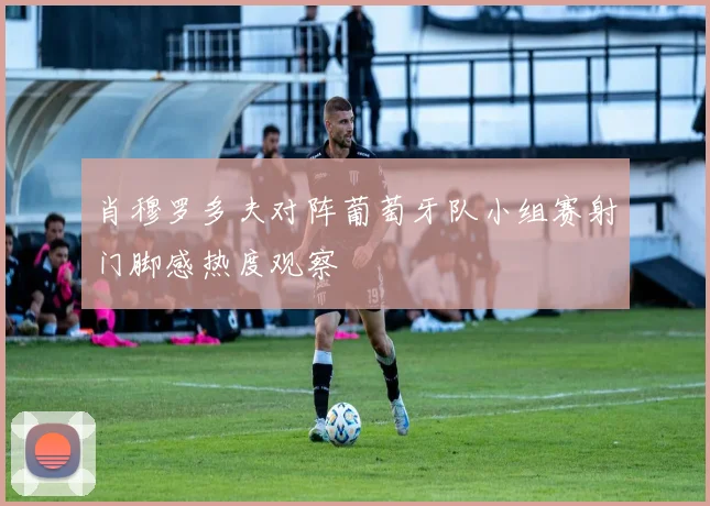 肖穆罗多夫对阵葡萄牙队小组赛射门脚感热度观察